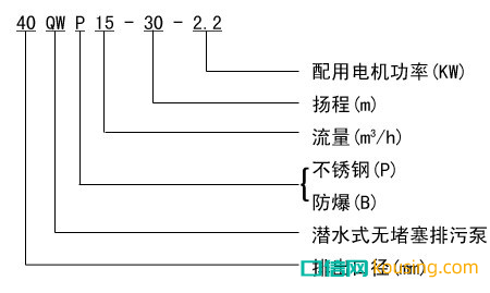 圖片5
